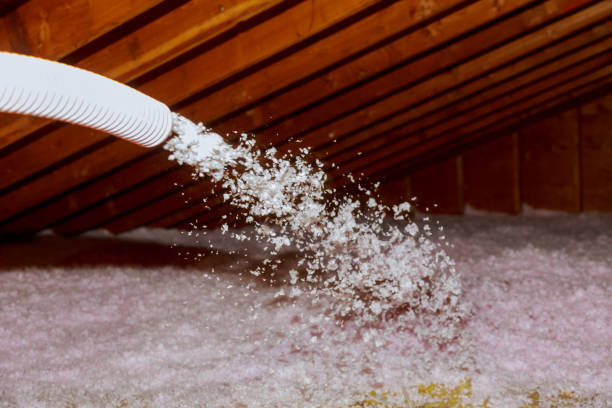 Best Insulation for New Construction  in Bay City, TX