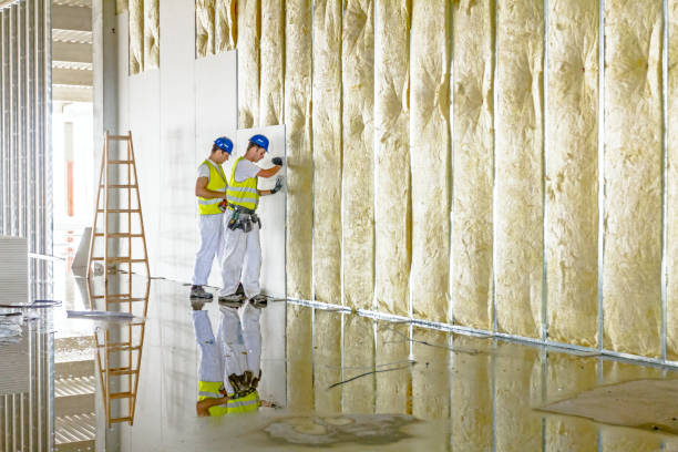 Best Cellulose Insulation  in Bay City, TX